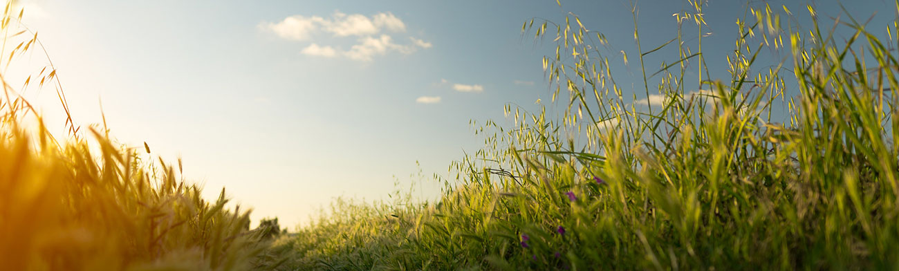 What is digital marketing and its significance in today’s era